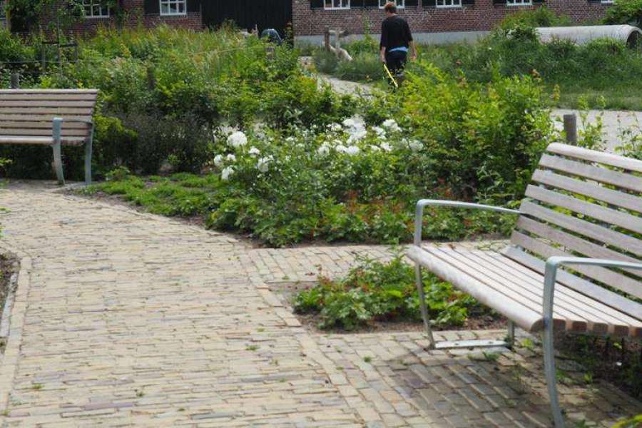 Jung und Alt zusammen auf Falco-Bänken im Generationengarten