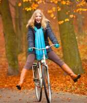 Dutch Cycling Embassy