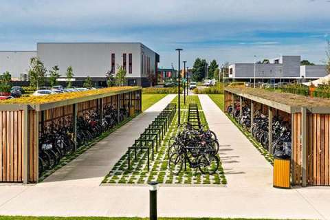 Nachhaltige Überdachungen mit Gründach bei Heutink in Nijverdal