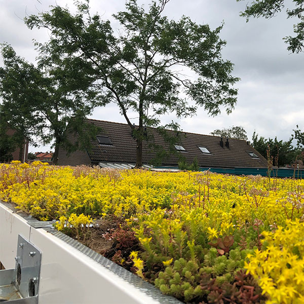 Vielseitige Überdachungen auf dem Schulhof