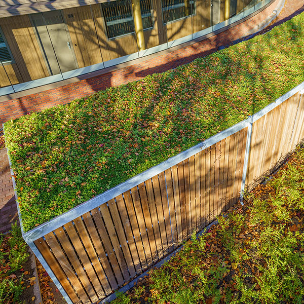 Individuell geformte Fahrradabstellanlage für ein modernes Wohngebäude