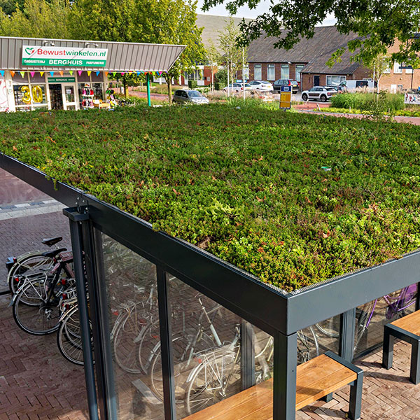 Grüne Oase im Herzen von Westerhaar: Der Busbahnhof am Kervelplatz erstrahlt in neuem Glanz