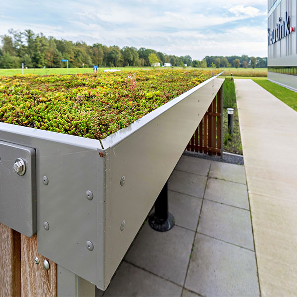 Nachhaltige Überdachungen mit Gründach bei Heutink in Nijverdal