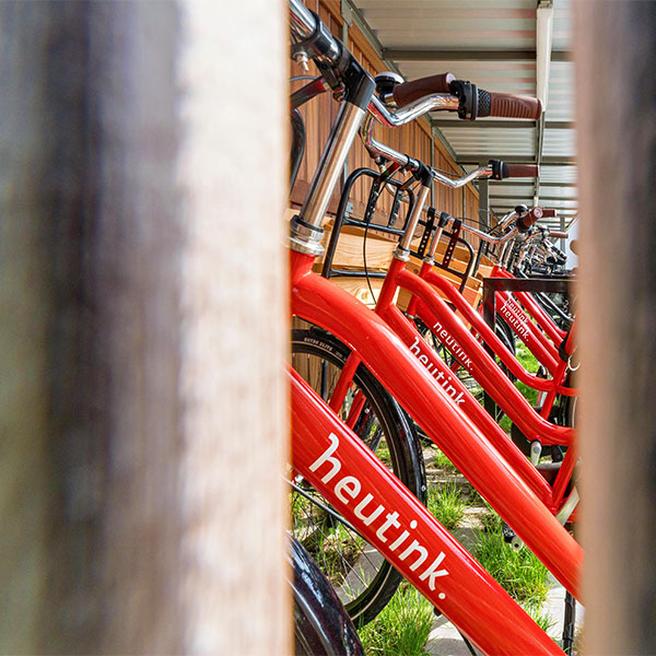 Nachhaltige Überdachungen mit Gründach bei Heutink in Nijverdal