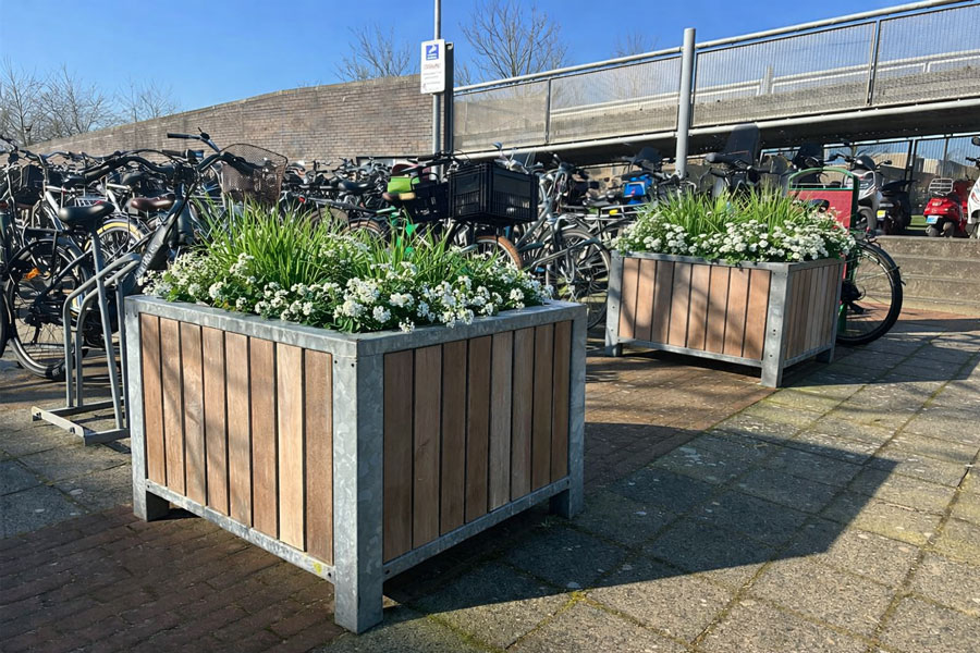 Fahrradparken und Begrünung am Haarlemmermeer Lyceum
