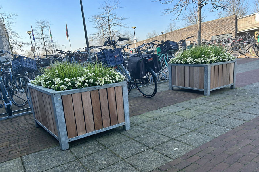 Fahrradparken und Begrünung am Haarlemmermeer Lyceum